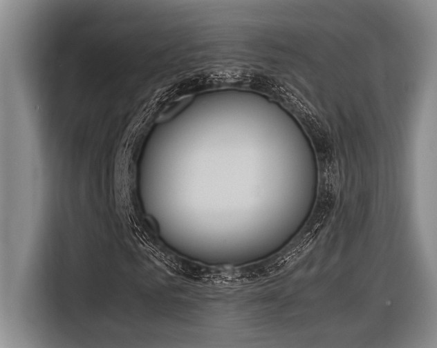 X0000116600961200912111111