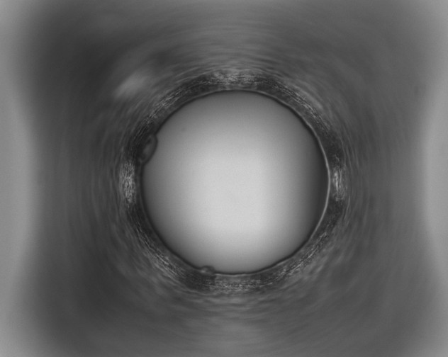 X0000116600963200912111111