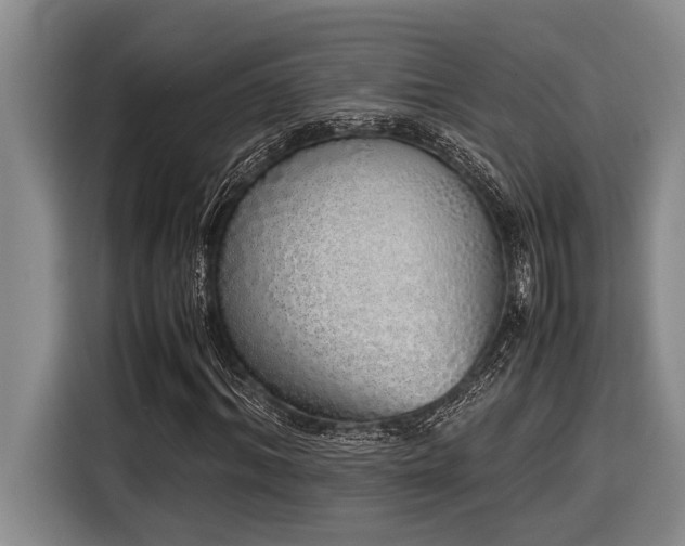X0000116600964200912111111
