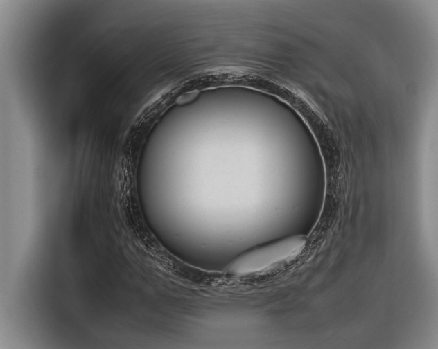 X0000116600967200912111111