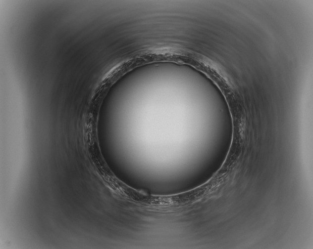X0000116600968200912111110