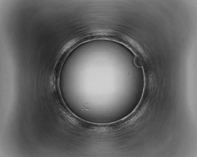 X0000116600970200912111110