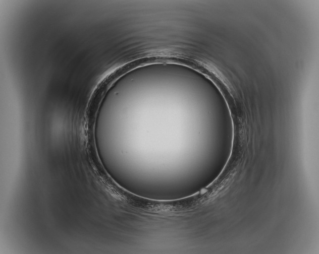 X0000116600971200912111110