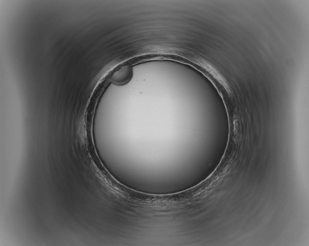 X0000116600972200912111110