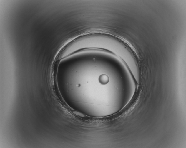 X0000116600973200912111110