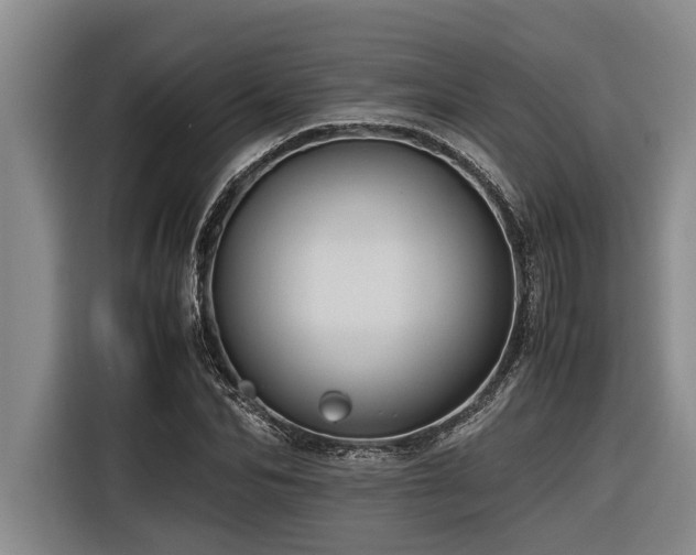 X0000116600974200912111110
