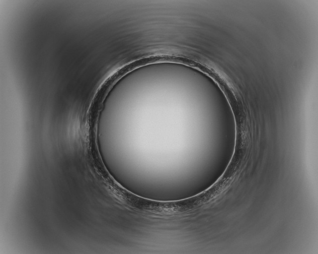 X0000116600975200912111110