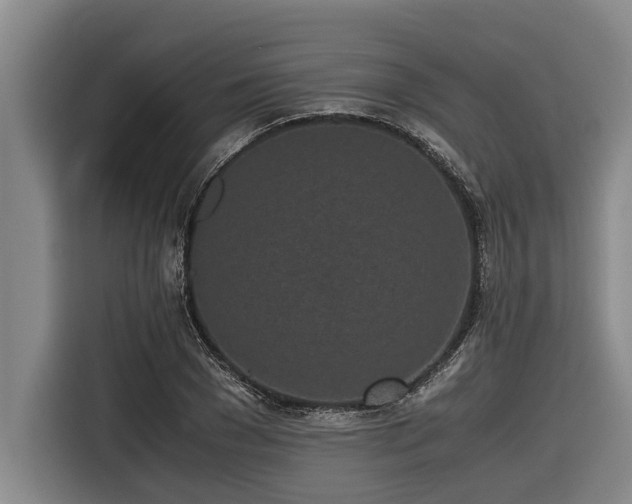 X0000116600977200912111110
