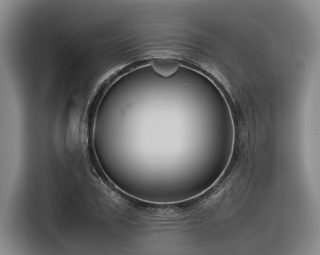 X0000116600979200912111110