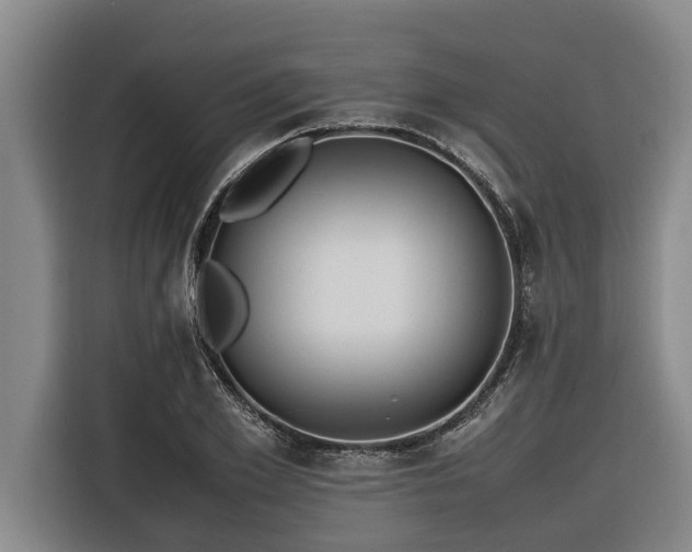 X0000116600981200912111110