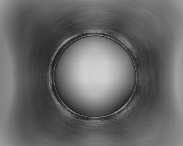 X0000116600984200912111110