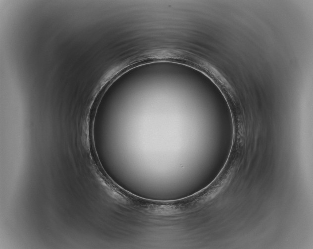 X0000116600986200912111110