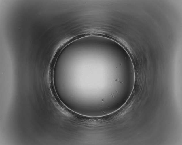 X0000116600987200912111110
