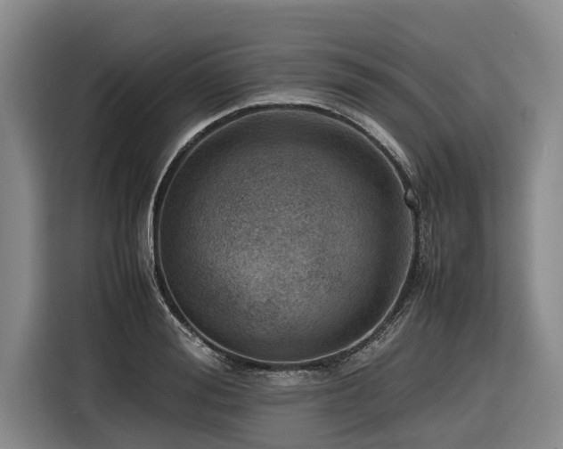 X0000116600988200912111110