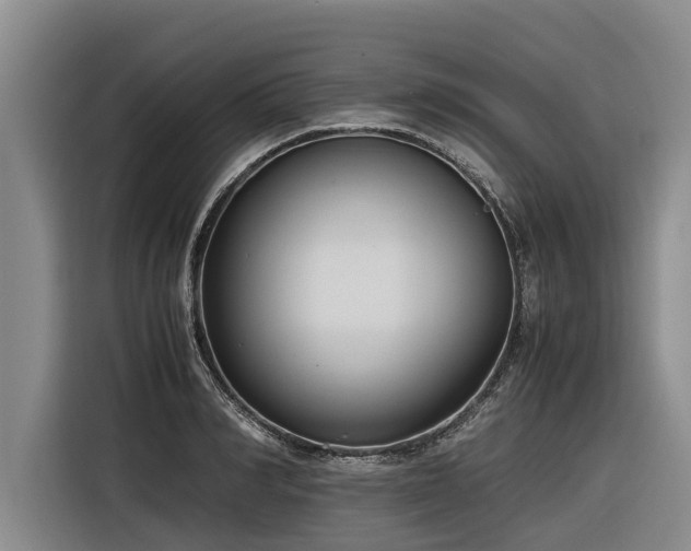 X0000116600990200912111110