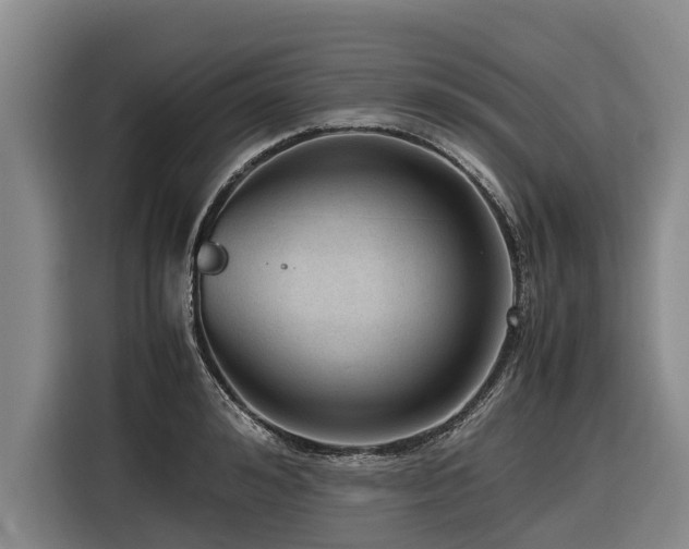 X0000116600992200912111110