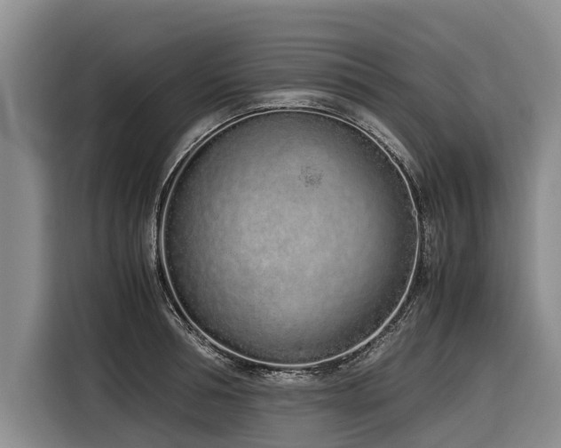 X0000116600994200912111110