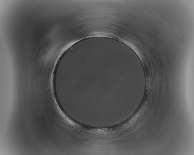 X0000116600995200912111110