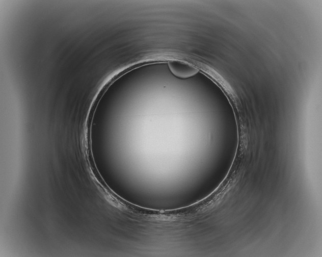 X0000116600996200912111110