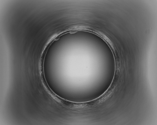 X0000116600997200912111110