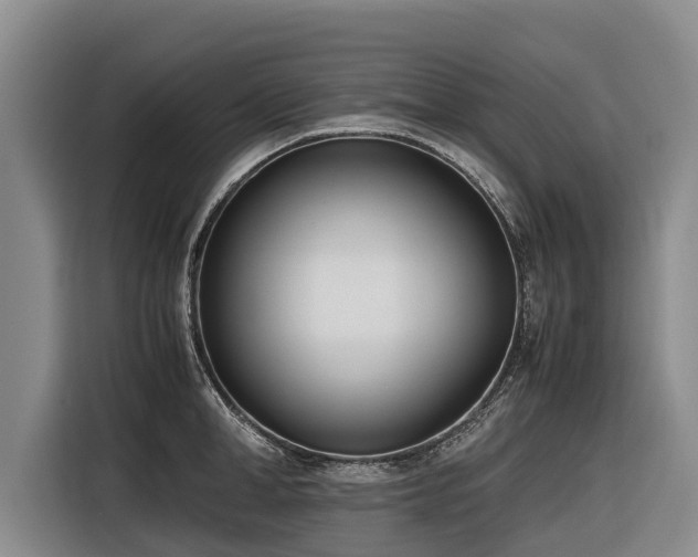 X0000116600998200912111110