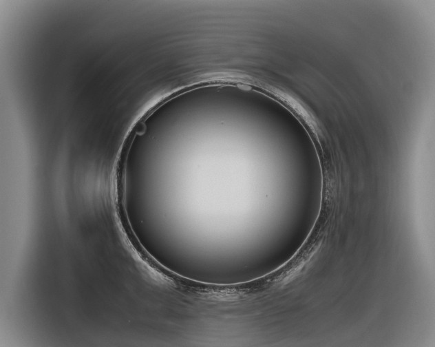 X0000116600999200912111110