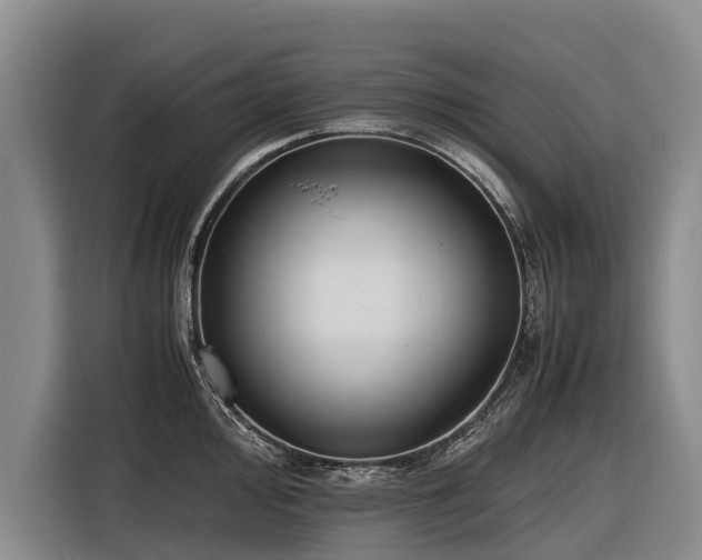 X0000116601000200912111110