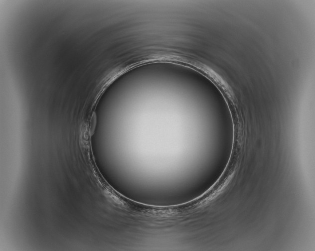 X0000116601001200912111110