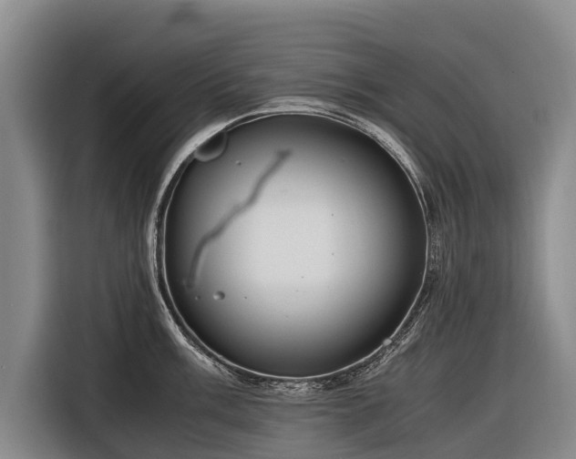 X0000116601003200912111110