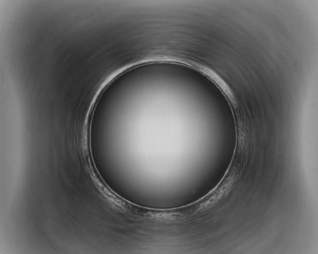 X0000116601004200912111110