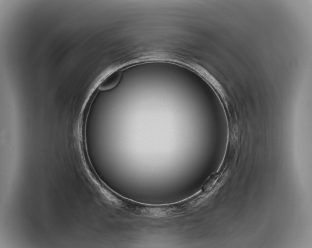 X0000116601005200912111110