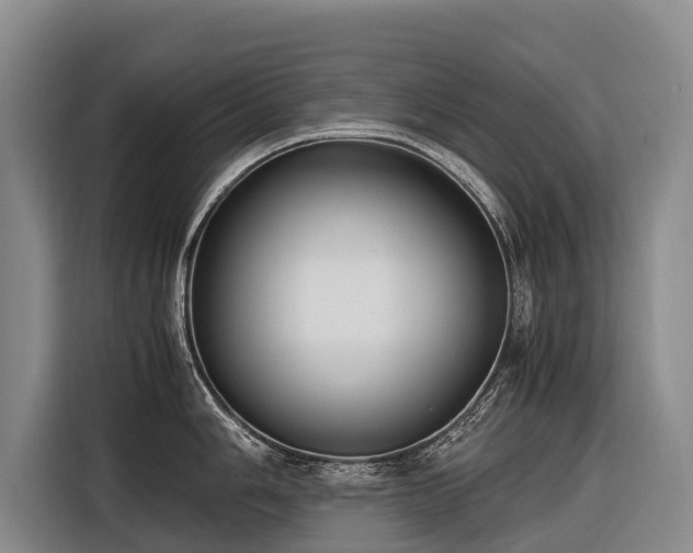X0000116601006200912111110