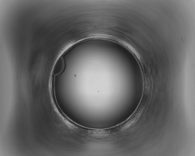 X0000116601007200912111110