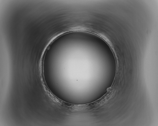 X0000116601008200912111110