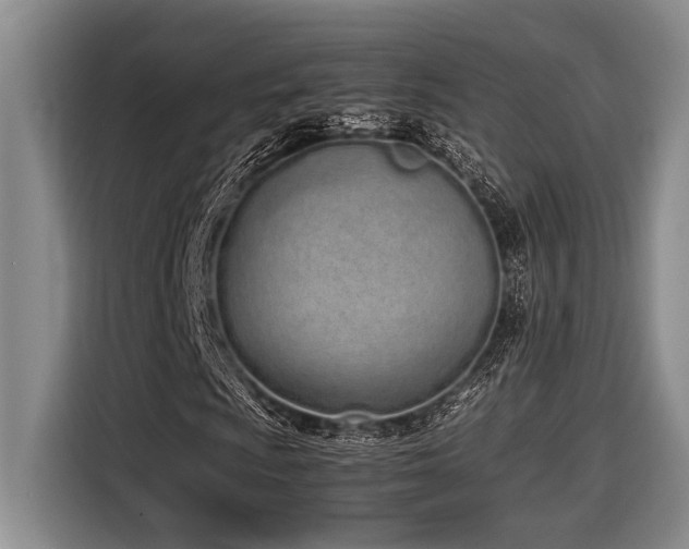 X0000116601009200912111109