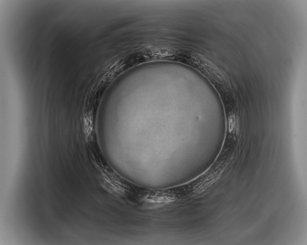 X0000116601011200912111109