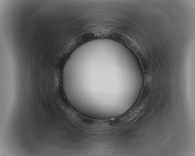X0000116601012200912111109