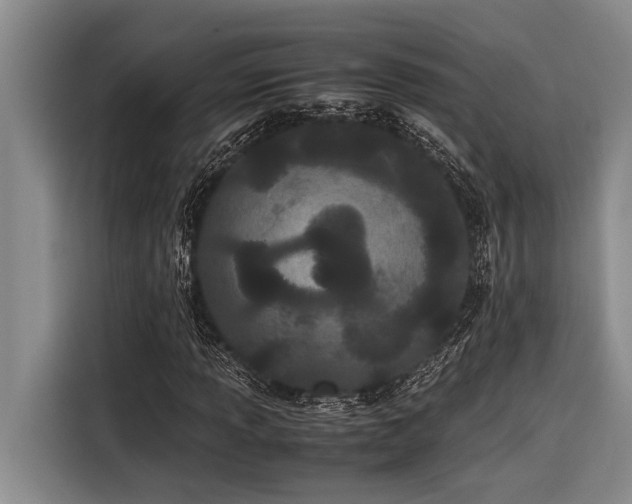X0000116601013200912111109