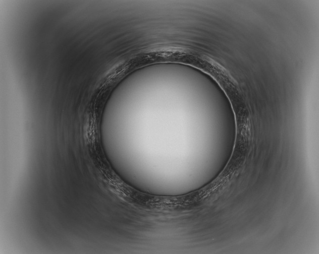 X0000116601014200912111109