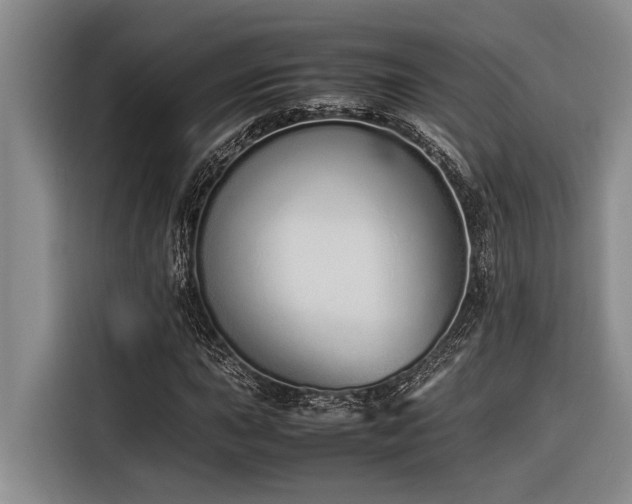 X0000116601015200912111109