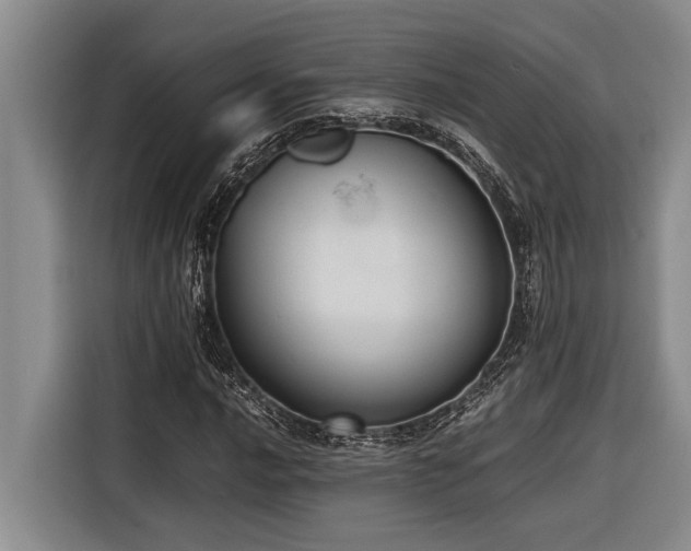 X0000116601016200912111109