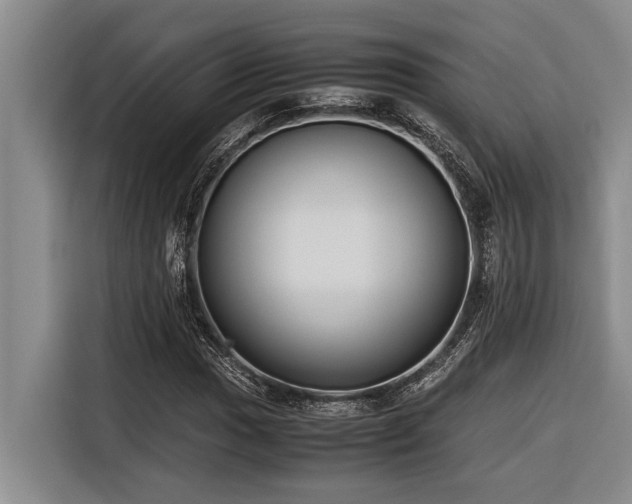 X0000116601017200912111109