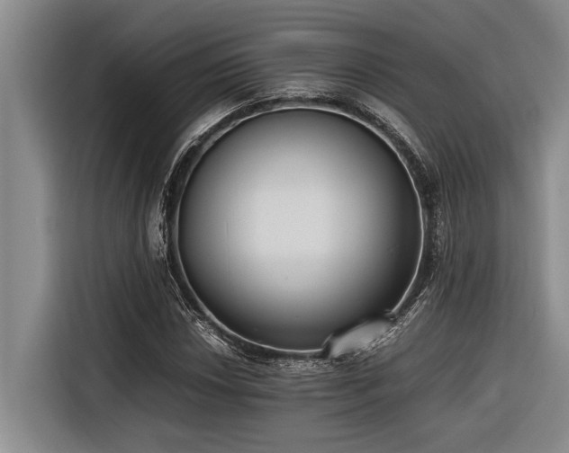 X0000116601018200912111109