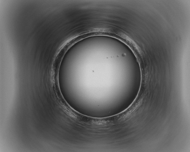 X0000116601019200912111109