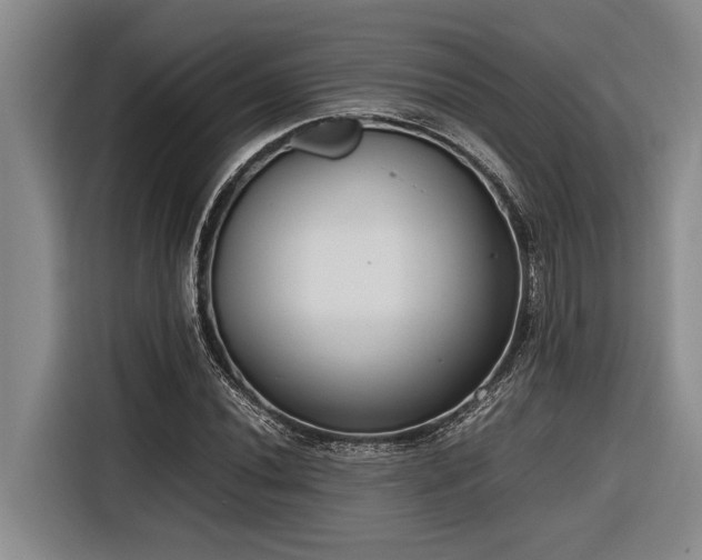 X0000116601020200912111109