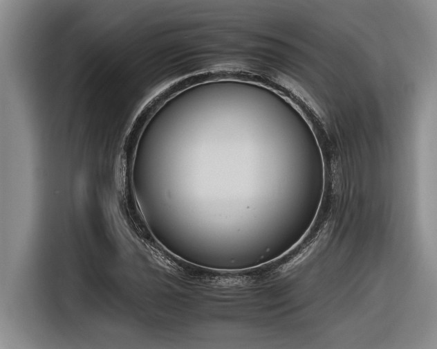 X0000116601021200912111110