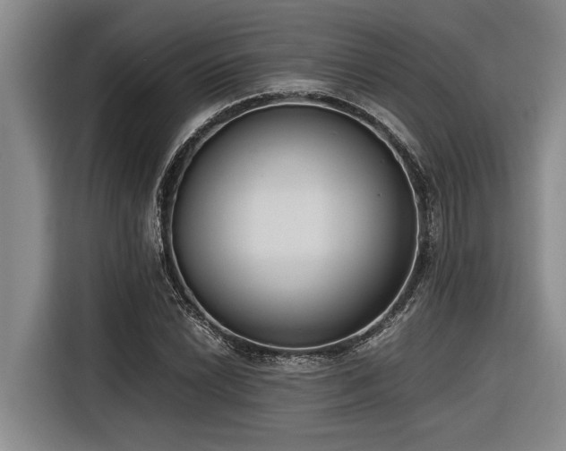 X0000116601022200912111110