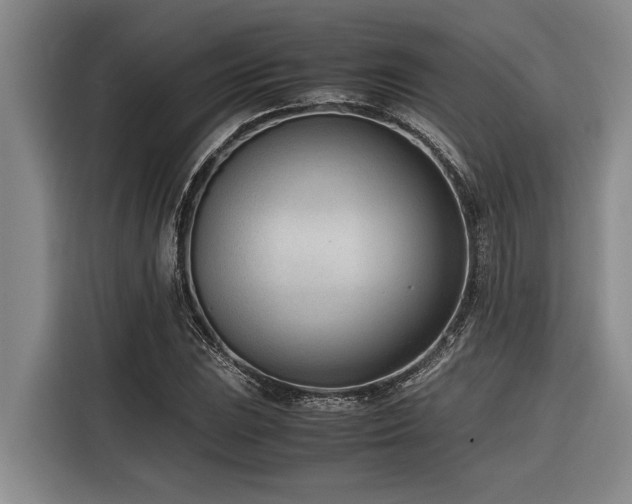 X0000116601023200912111110