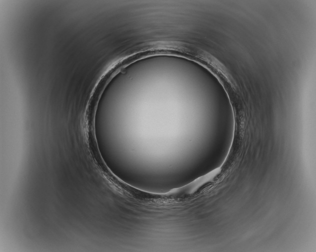 X0000116601024200912111110