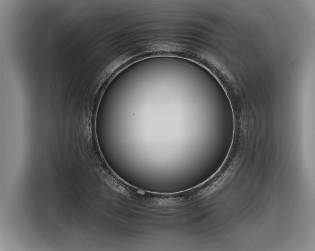 X0000116601025200912111110